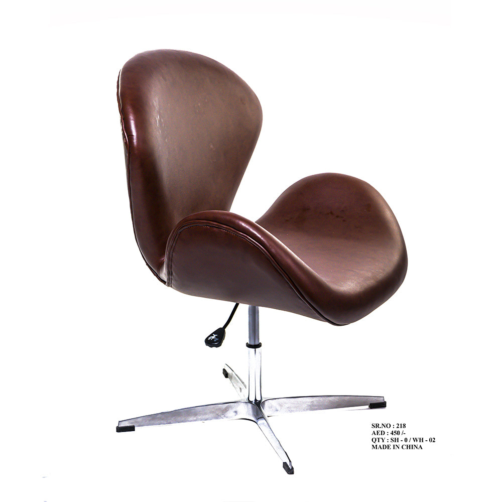 Chair Lounge Wing